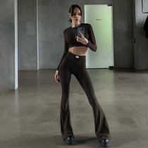 Casual Long Sleeve Tops And Micro Flare Pant 2 Piece Set FL-23423