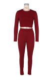 Solid Long Sleeve Slim Two Piece Pants Set ZSD-0444
