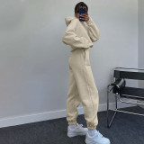 Solid Color Hooded Sweatshirts Casual Two Piece Pants Set SSNF-211338