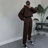 Solid Color Hooded Sweatshirts Casual Two Piece Pants Set SSNF-211338