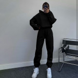 Solid Color Hooded Sweatshirts Casual Two Piece Pants Set SSNF-211338