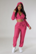Velvet Solid Color Hooded Two Piece Pants Set YD-8782-B12