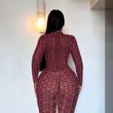 Fashion Long Sleeve Print Zipper Jumpsuit FL-23473