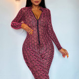 Fashion Long Sleeve Print Zipper Jumpsuit FL-23473