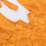 Sexy Slim Lace V-Neck Split Mini Dress FL-23495