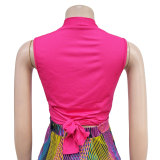 Colorful Printed V-Neck Sleeveless Pants Two Piece Set BY-6708