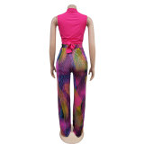 Colorful Printed V-Neck Sleeveless Pants Two Piece Set BY-6708