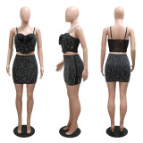 Sexy Sing Crop Top And Skirt Two Piece Set CYA-900791
