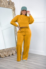 Solid Color Long Sleeve Loose Two Piece Pants Set YH-5331