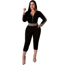 Fashion Print Zipper Two Piece Pants Set SFY-5115