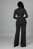 Solid Color Deep V Neck Micro Flare Pants Two Piece Set  XMY-9463