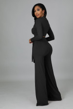 Solid Color Deep V Neck Micro Flare Pants Two Piece Set  XMY-9463