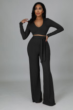 Solid Color Deep V Neck Micro Flare Pants Two Piece Set  XMY-9463