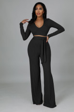 Solid Color Deep V Neck Micro Flare Pants Two Piece Set  XMY-9463