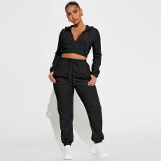 Casual Zipper Hooded Sweatshirt And Pants 2 Piece Set DDF-88222