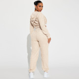 Casual Zipper Hooded Sweatshirt And Pants 2 Piece Set DDF-88222