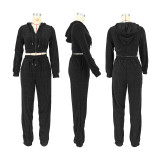 Casual Zipper Hooded Sweatshirt And Pants 2 Piece Set DDF-88222