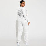 Casual Zipper Hooded Sweatshirt And Pants 2 Piece Set DDF-88222