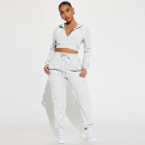 Casual Zipper Hooded Sweatshirt And Pants 2 Piece Set DDF-88222