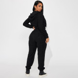 Casual Zipper Hooded Sweatshirt And Pants 2 Piece Set DDF-88222