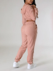 Casual Long Sleeve Zipper Hooded Pants Two Piece Set YH-5313