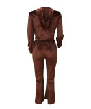 Gold Velvet Zipper long Sleeve Hooded Warm 2 Piece Pants Set LSD-1367