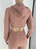 Casual Long Sleeve Zipper Hooded Pants Two Piece Set YH-5313