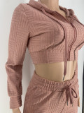 Casual Long Sleeve Zipper Hooded Pants Two Piece Set YH-5313
