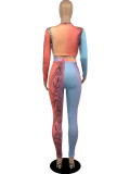 Sexy Print Tight Long Sleeve Pants Two Piece Set YIBF-60180