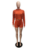 Fashion Solid Color Long Sleeve Short Sweater 2 Piece Set QXTF-8210