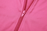 Long Sleeve Zip Tops And Pants Solid 2 Piece Set XEF-35960