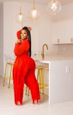 Solid Color Slim Long Sleeve Tops And Tassel Pants 2 Piece Set ZDF-31293