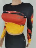 Fashion Print Long Sleeve Tops And Long Skirt 2 Piece Set FENF-289