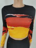 Fashion Print Long Sleeve Tops And Long Skirt 2 Piece Set FENF-289
