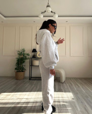 Solid Long Sleeve Hooded Sweatshirt Pants Two Piece Set SSNF-211401