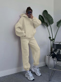 Solid Long Sleeve Hooded Sweatshirt Pants Two Piece Set SSNF-211401