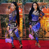 Print Long Sleeve Slim Fashion Jumpsuit YIM-040