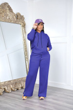 Solid Color Hooded Sweatshirt And Pants Two Piece Set FENF-290
