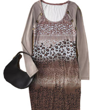 Leopard Print Long Sleeve Mini Dress GFMA-231101