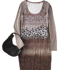 Leopard Print Long Sleeve Mini Dress GFMA-231101