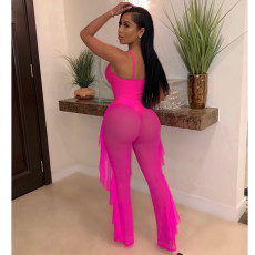 Solid Color Swimsuit Mesh Two Piece Set SFY-Z018