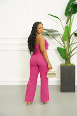Feather Wrap Chest And Straight Pants 2 Piece Set AIL-257