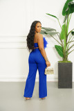 Feather Wrap Chest And Straight Pants 2 Piece Set AIL-257