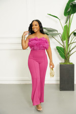 Feather Wrap Chest And Straight Pants 2 Piece Set AIL-257