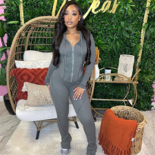 Long Sleeve Hooded Tops And Pants 2 Piece Set XEF-37541