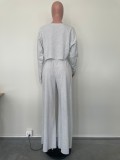 Solid Color Long Sleeve Crop Tops And Loose Pant 2 Piece Set OLYF-6111