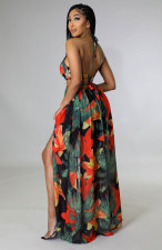 Sexy Halter Blackless Split Print Dress XHXF-290