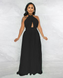 Sexy Backless Sleeveless Pleated Maxi Dress GYLY-9715