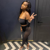 Mesh Hollow Out Wrap Chest Tops Two Piece Pants Set MXBF-K23ST156