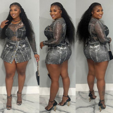 Mesh Long Sleeve Print Bodysuits CulottesTwo Piece  Set BN-9441